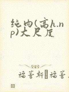 纯肉(高h.np)大尺度