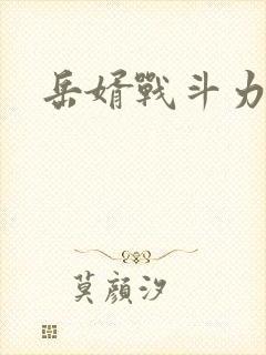 岳婿战斗力