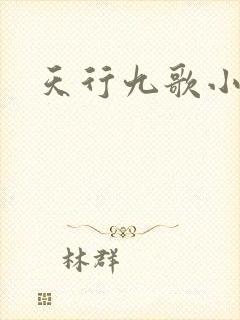 天行九歌小说