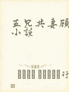 五兄共妻顾心儿小说封面