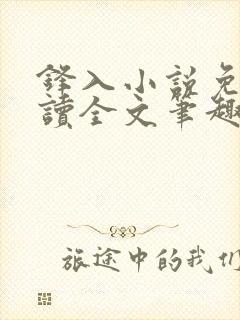 锋入小说免费阅读全文笔趣阁