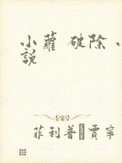 小萝 破除 小说