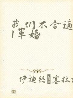 我们不合适1v1军婚