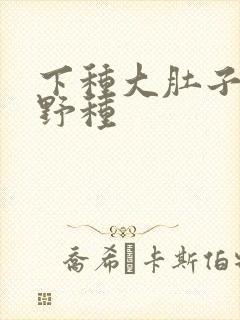下种大肚子怀孕野种