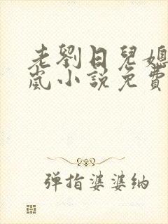 老刘日儿媳妇张岚小说免费阅读