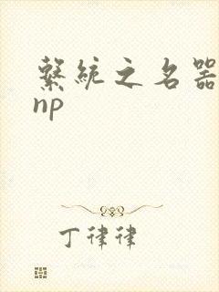 系统之名器攻略np