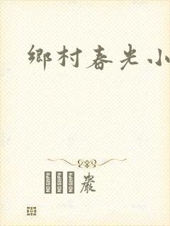 乡村春光小说
