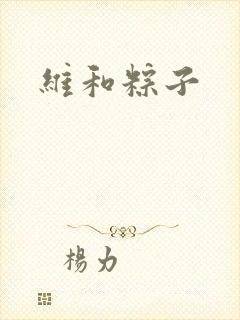维和粽子