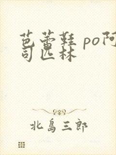 芭蕾鞋 po阿司匹林封面