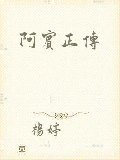 阿宾正传