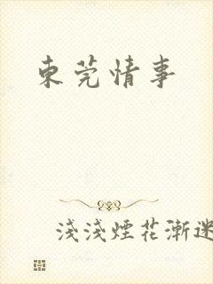 东莞情事