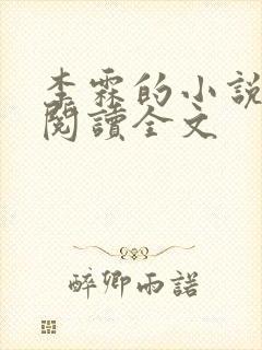 李霖的小说免费阅读全文封面