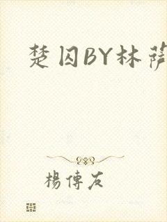 楚囚BY林萨封面