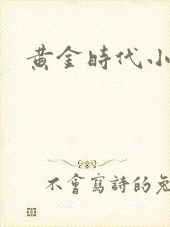 黄金时代小说