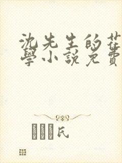 沈先生的花式教学小说免费