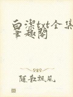 白洁txt全集笔趣阁封面