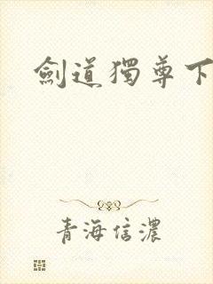 剑道独尊下载