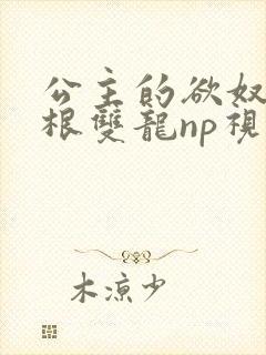 公主的欲奴h四根双龙np视频