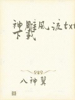 神雕风流txt下载封面