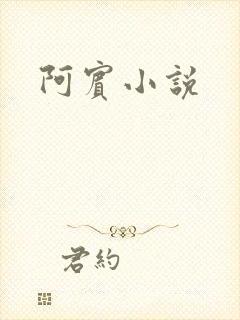 阿宾小说封面
