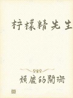 柠檬精先生