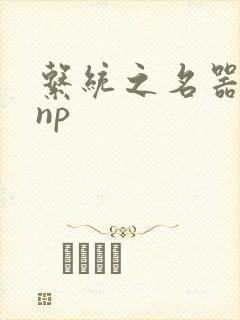 系统之名器攻略np