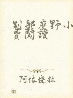 别那么野小说免费阅读封面