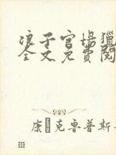 浪子官场猎艳记全文免费阅读