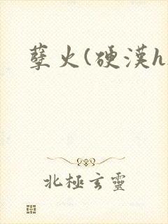 孽火(硬汉h)