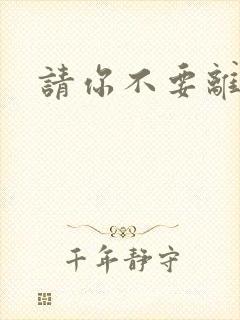请你不要离开我