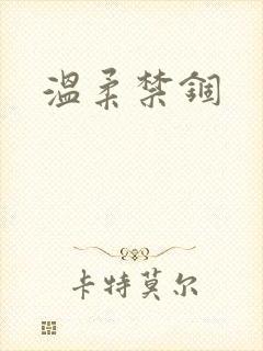 温柔禁锢封面
