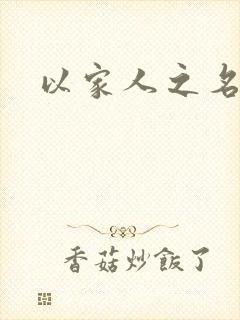 以家人之名小说