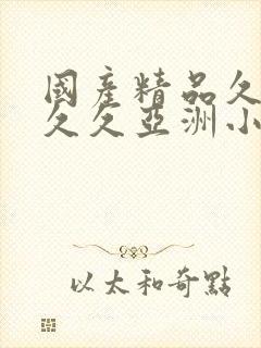 国产精品久久久久久亚洲小说