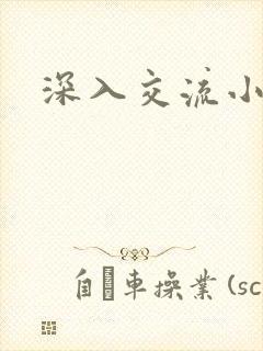 深入交流小说