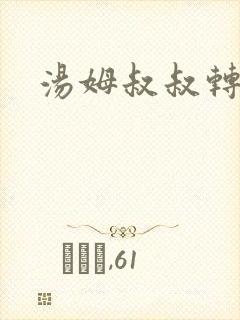 汤姆叔叔转接口