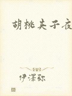 胡桃夹子夜未眠封面