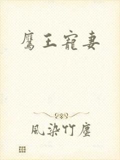 鹰王宠妻