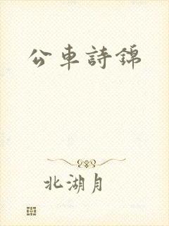 公车诗锦封面