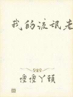 我的流氓老师