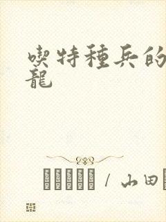 吃特种兵的大黑龙封面