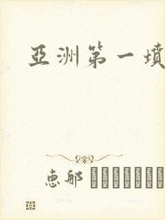 亚洲第一坟封面