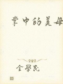掌中的美母封面