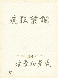 疯狂禁锢封面