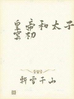 皇帝和太子妃h云初封面