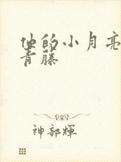 他的小月亮by青藤