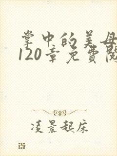 掌中的美母版主120章免费阅读
