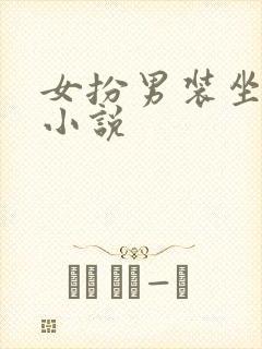女扮男装坐江山小说封面