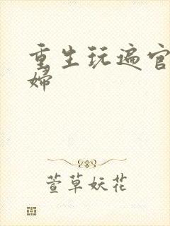 重生玩遍官场贵妇