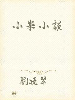 小米小说封面