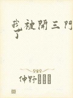 我被开三门痛晕了封面